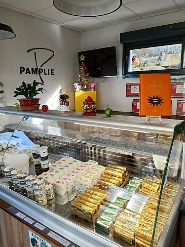 Boutique Pamplie
