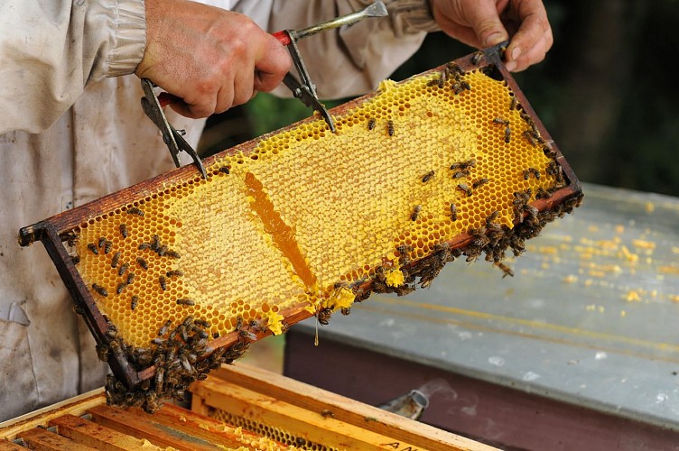 apiculture - Pouffonds (pw) 0629