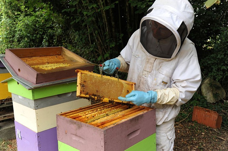 apiculture - Pouffonds (pw) 0599