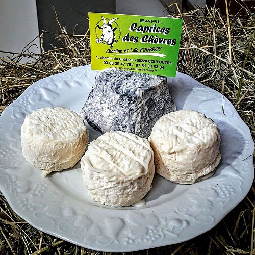 17621800-429794164035129-7811250453933820746-o