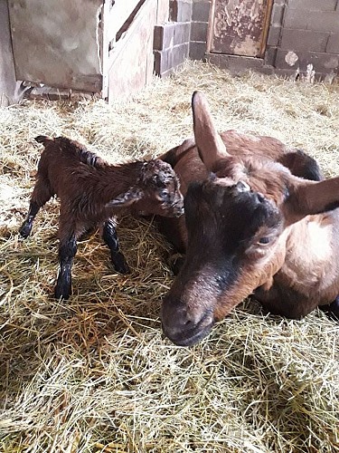 16665301-405511336463412-6770862735275685501-o