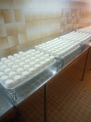 caprice-des-chèvres-couloutre-fromages