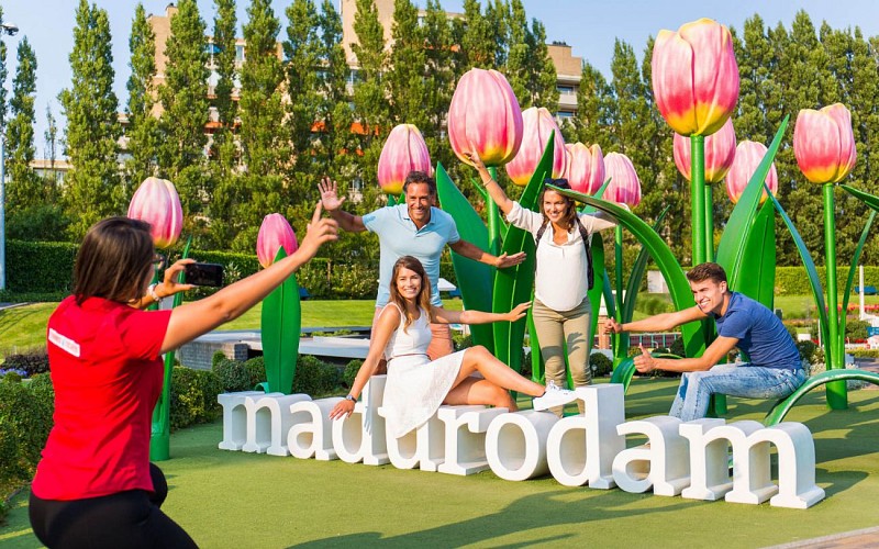 Delft, The Hague & Madurodam Half Day Tour