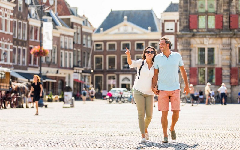 Delft, The Hague & Madurodam Half Day Tour