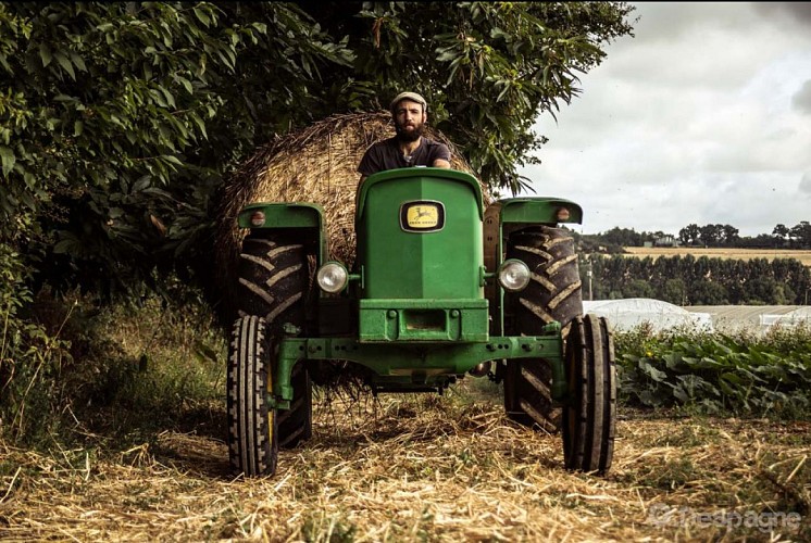 LE CHAMP DES TREULS, MARAÎCHAGE BIOLOGIQUE