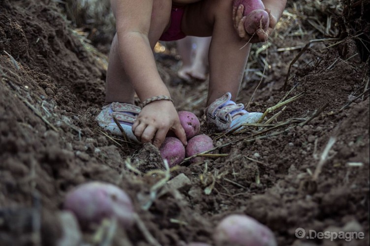 LE CHAMP DES TREULS, MARAÎCHAGE BIOLOGIQUE