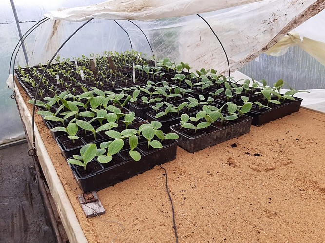 JÉRÔME RÉOLON - LA FERME DES 5 SAULES