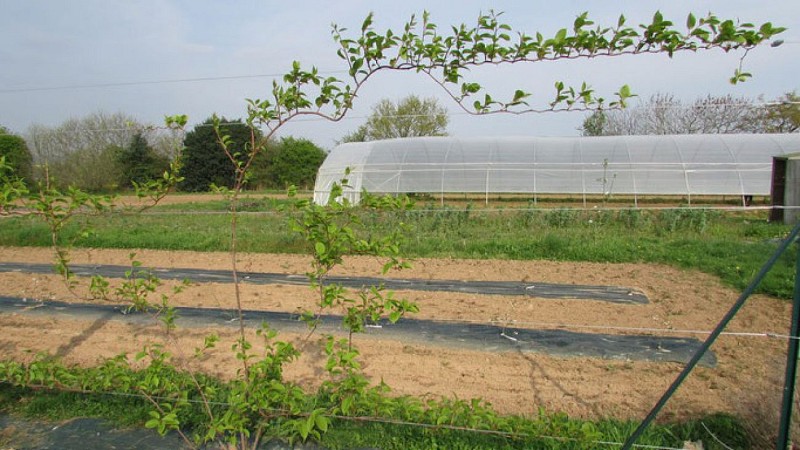 JULIE BARRET - EARL BIO DIVERSES CITÉS