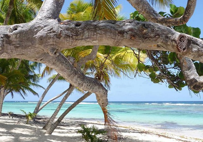 Self Tour of Marie Galante Island with Hire Car & Road Map