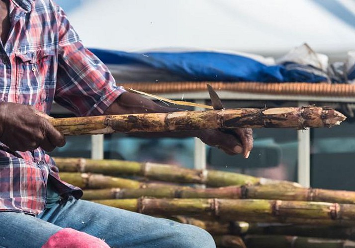 Marie Galante en liberté: voiture de location et carnet de route - Depuis Pointe-à-Pitre
