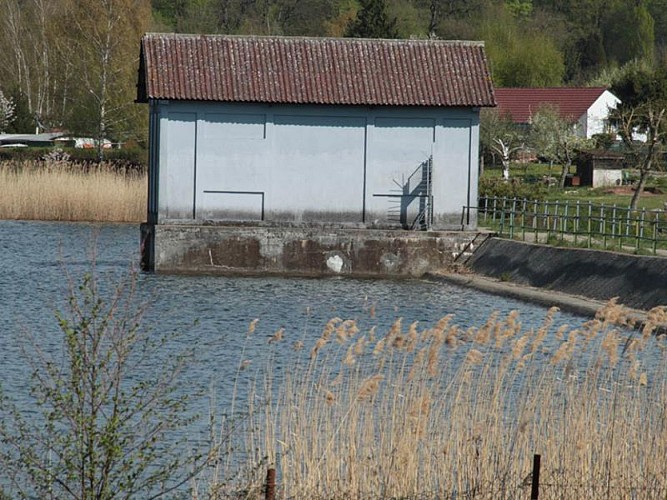 L'étang réservoir de Diefenbach