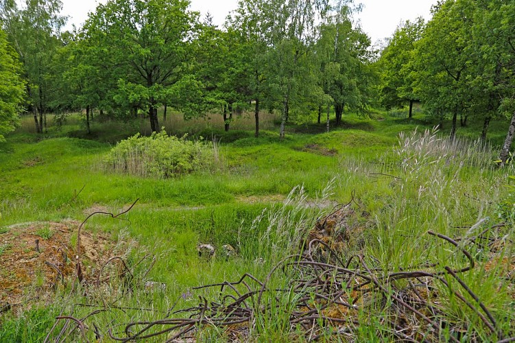 Ouvrage de Thiaumont