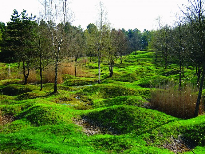 Ouvrage de Thiaumont