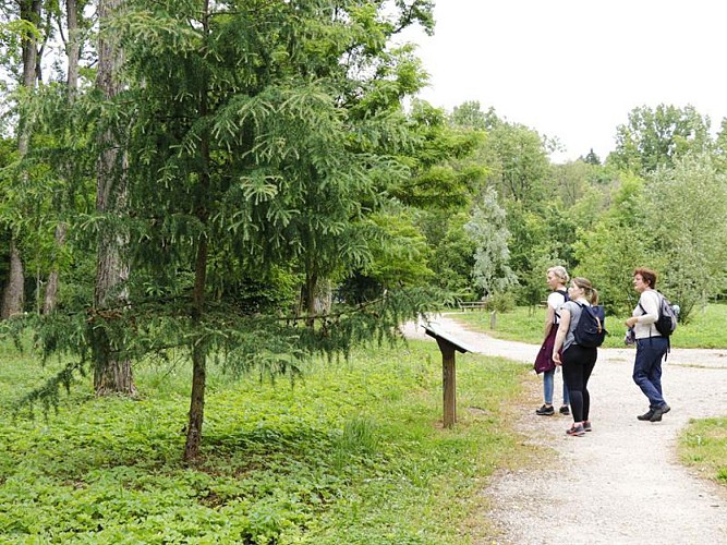 Arboretum Blies-Guersviller