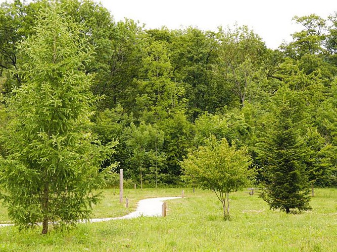 Arboretum Blies-Guersviller