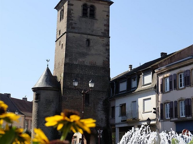 DIE KATHEDRALE DES HEILIGEN MARTIN UND DER ALBE-TURM