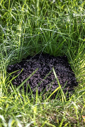 Tourbières de Vendoire 4