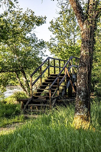Tourbières de Vendoire 2