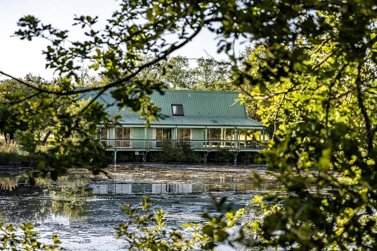 Tourbières de Vendoire 3