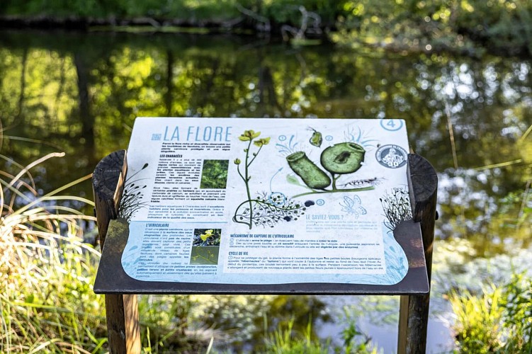 Tourbières de Vendoire 6 2