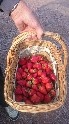 FERME DES GRANDS CHAMPS