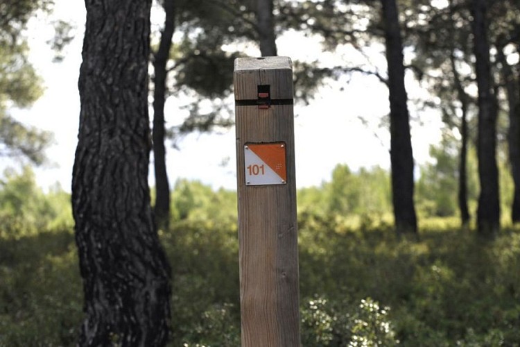 parcours-d-orientation-2-19d80ea182114ce1beba85771c7ad4c9