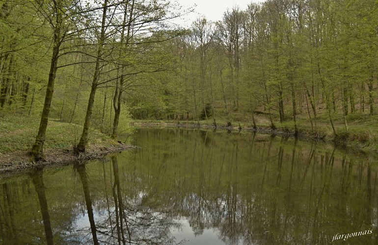 étang Deloiselle