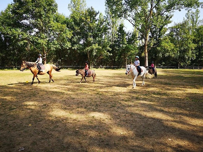 miramont-de-guyenne-manege-chevaux