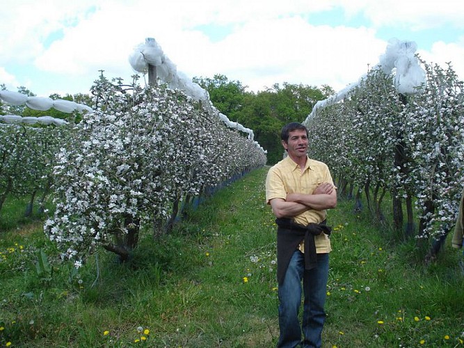 Les Vergers Bio de Bertrand Godebout