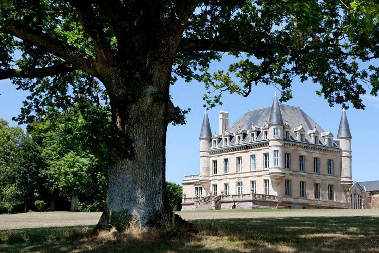 CHAMBRE D'HÔTES "CHÂTEAU DE LA GOUJONNERIE"