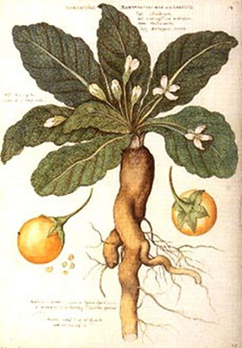 Le cimetière de Boirs