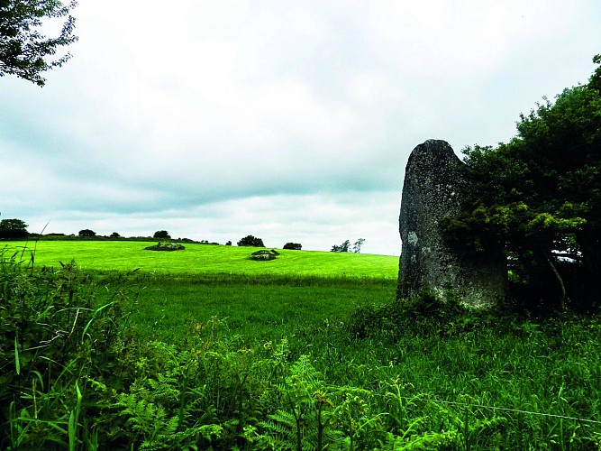 MENHIR DE CREC'H OGEL