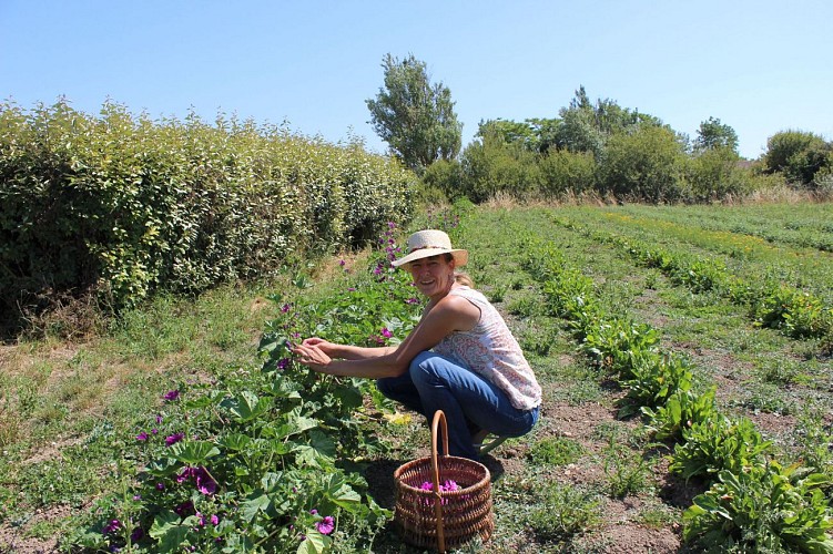 LES JARDINS DE LA CURE