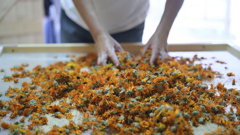 LES JARDINS DE LA CURE