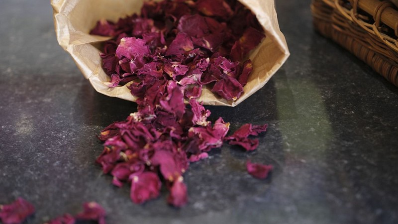 LES JARDINS DE LA CURE