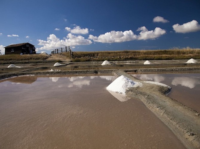 MARAIS SALANT DE LA PETILLIERE