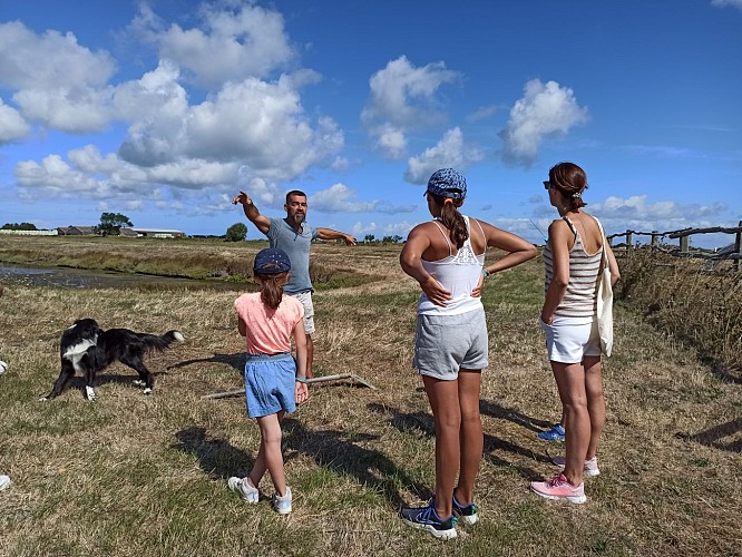 MARAIS SALANT DE LA PETILLIERE