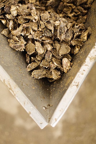 HUÎTRES BAPTISTE RAIMBAUD