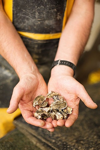 HUÎTRES BAPTISTE RAIMBAUD