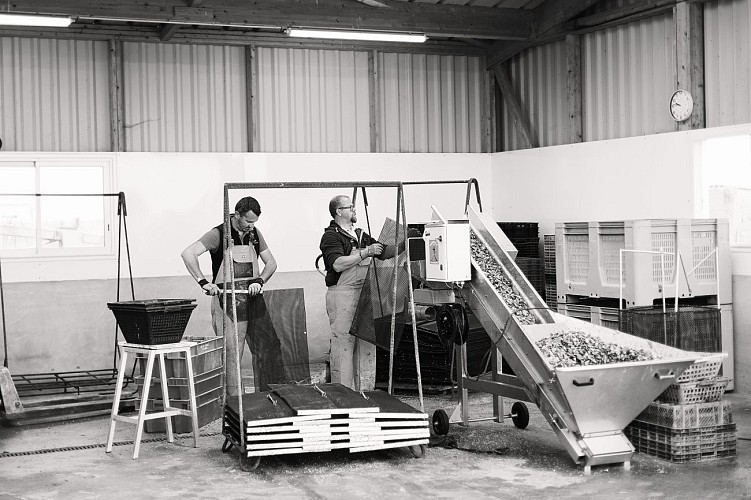 HUÎTRES BAPTISTE RAIMBAUD