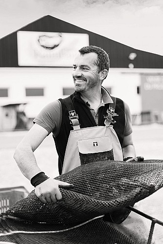 HUÎTRES BAPTISTE RAIMBAUD