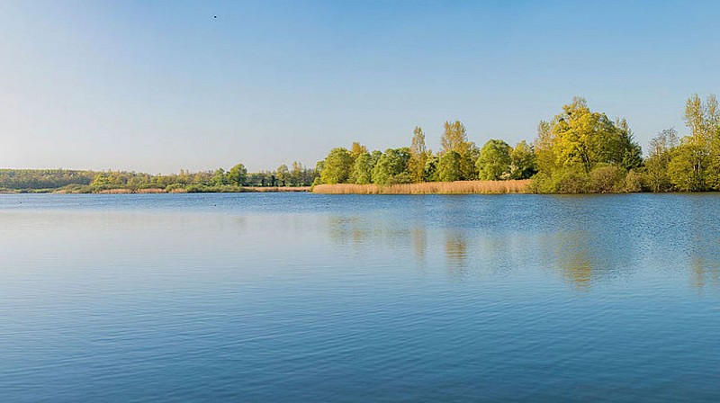 Grand étang de Pontoux