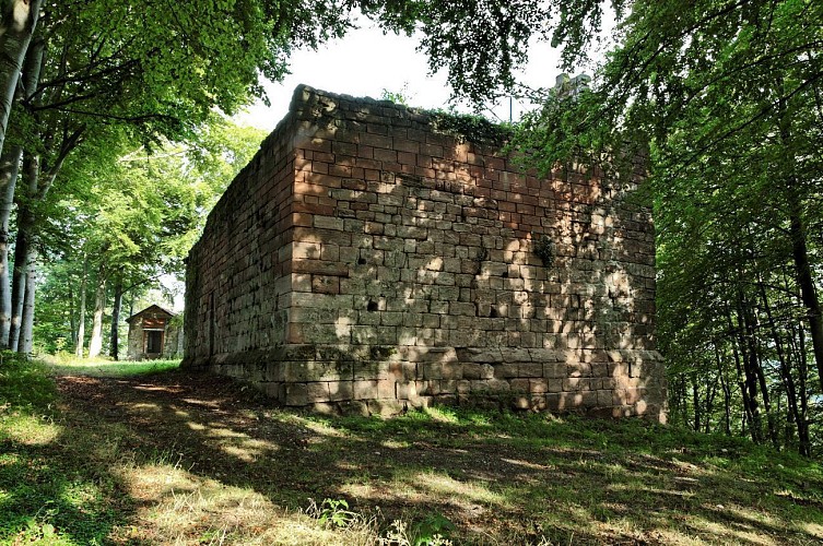 Ruines du Château de Bruyères
