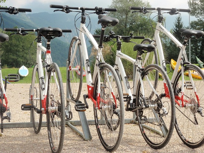 Rental of mountain bikes