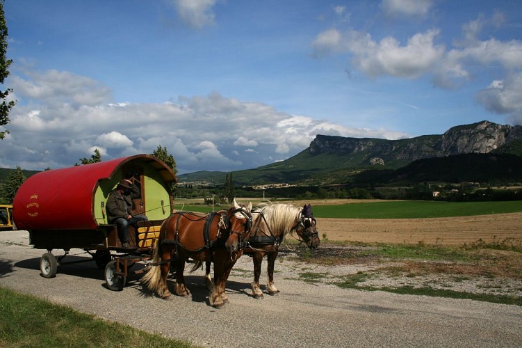 Vacances en roulotte itinérante avec chevaux et meneur