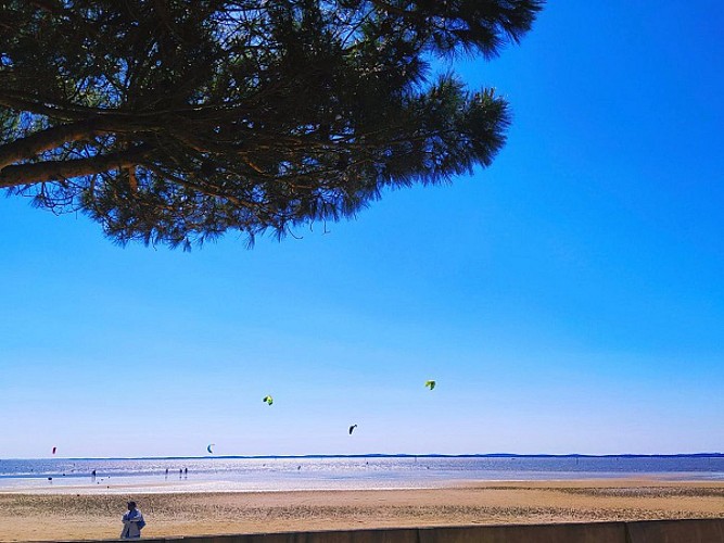 kite surf Bétey au 18 mai 2020.jpg 600 800