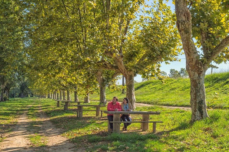 Bord-de-l-Adour--Chemin-rural-de-la-Pachere--rue-Rene-Crabos