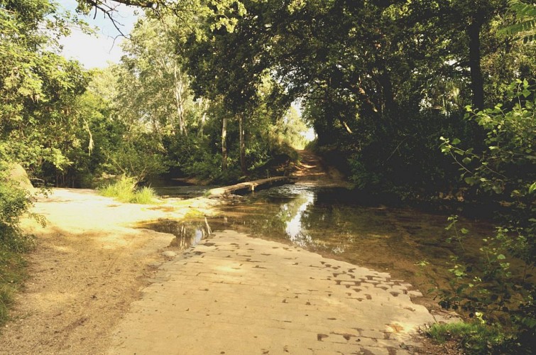 Tout droit c'est tentant!