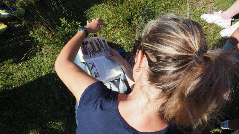 V-G O.I.T Mimizan (102)