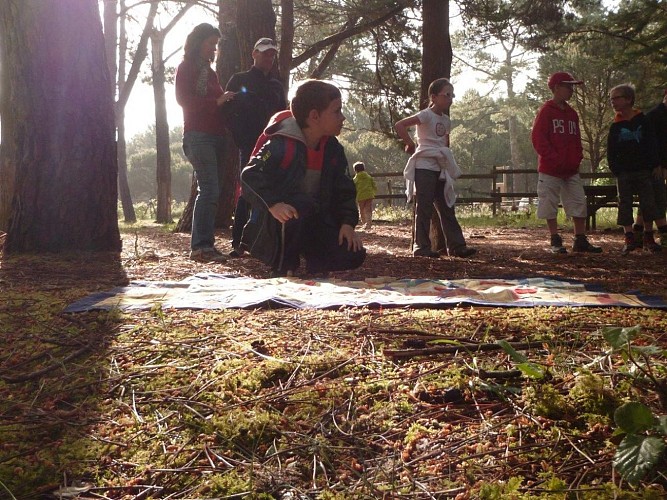Chasse au trésor des forestiers onf (5)